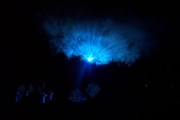 DCP_5263 